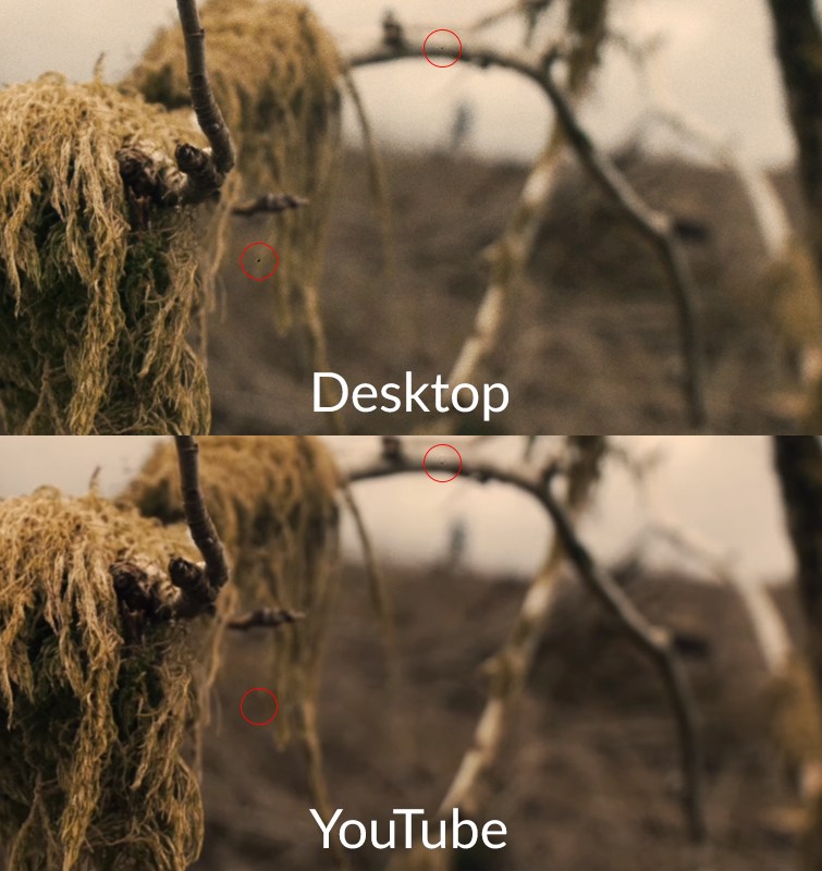 How Heavy Grain Overlays Are Affecting Your YouTube Upload