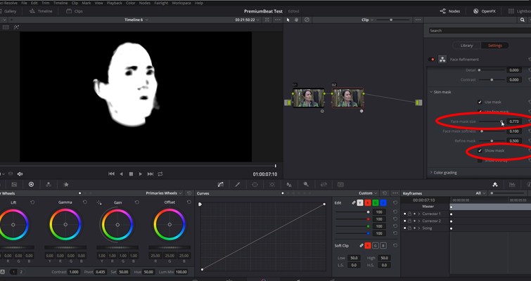 Face Refinement Working with DaVinci Resolve 14's Powerful Face Refinement Plug-in