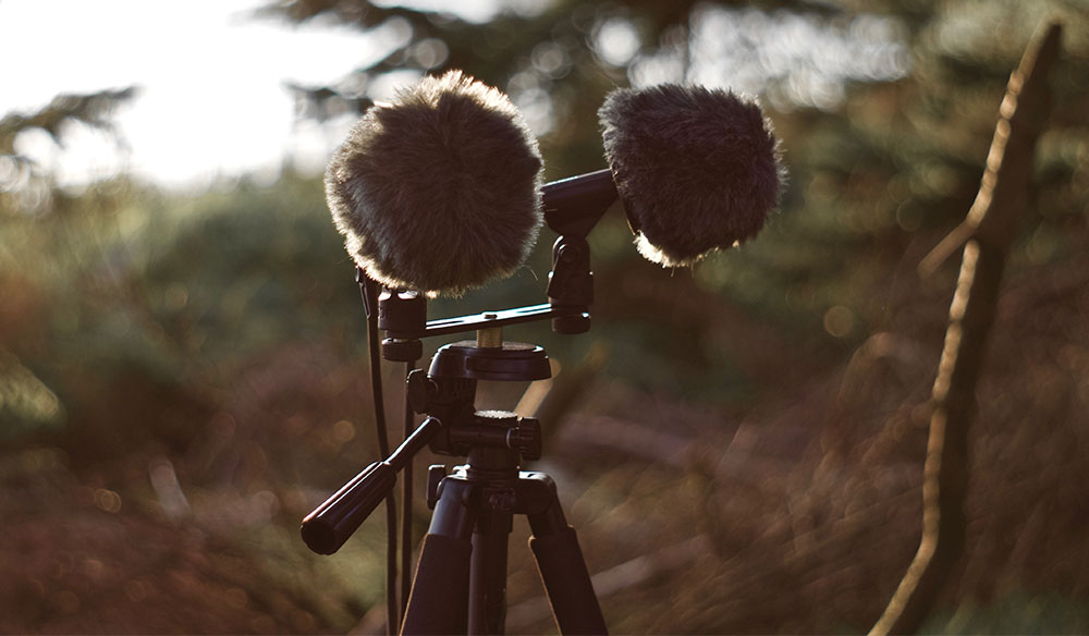 The 5 Best Field Recorders for Audio on the Go